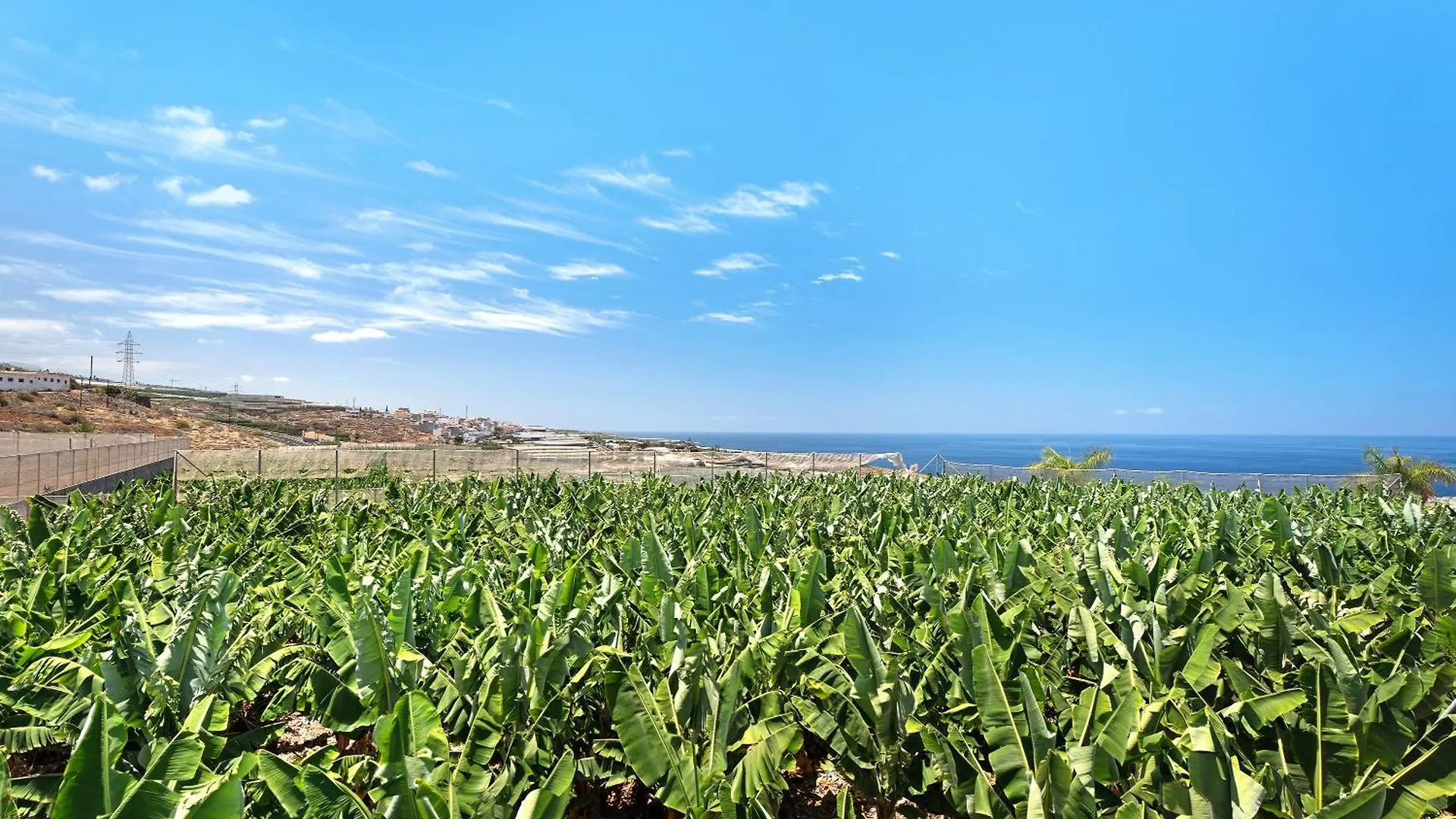 La Calabacera Casa Roja Con Piscina By Paramount Holidays Guía de Isora Espagne
